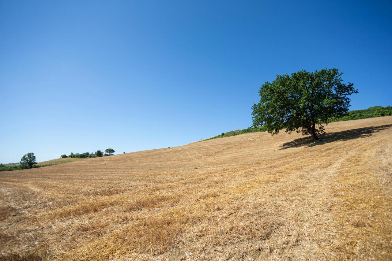 Agriturismo Cappellese Castelnuovo della Misericordia エクステリア 写真