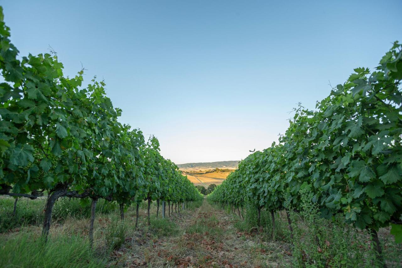 Agriturismo Cappellese Castelnuovo della Misericordia エクステリア 写真