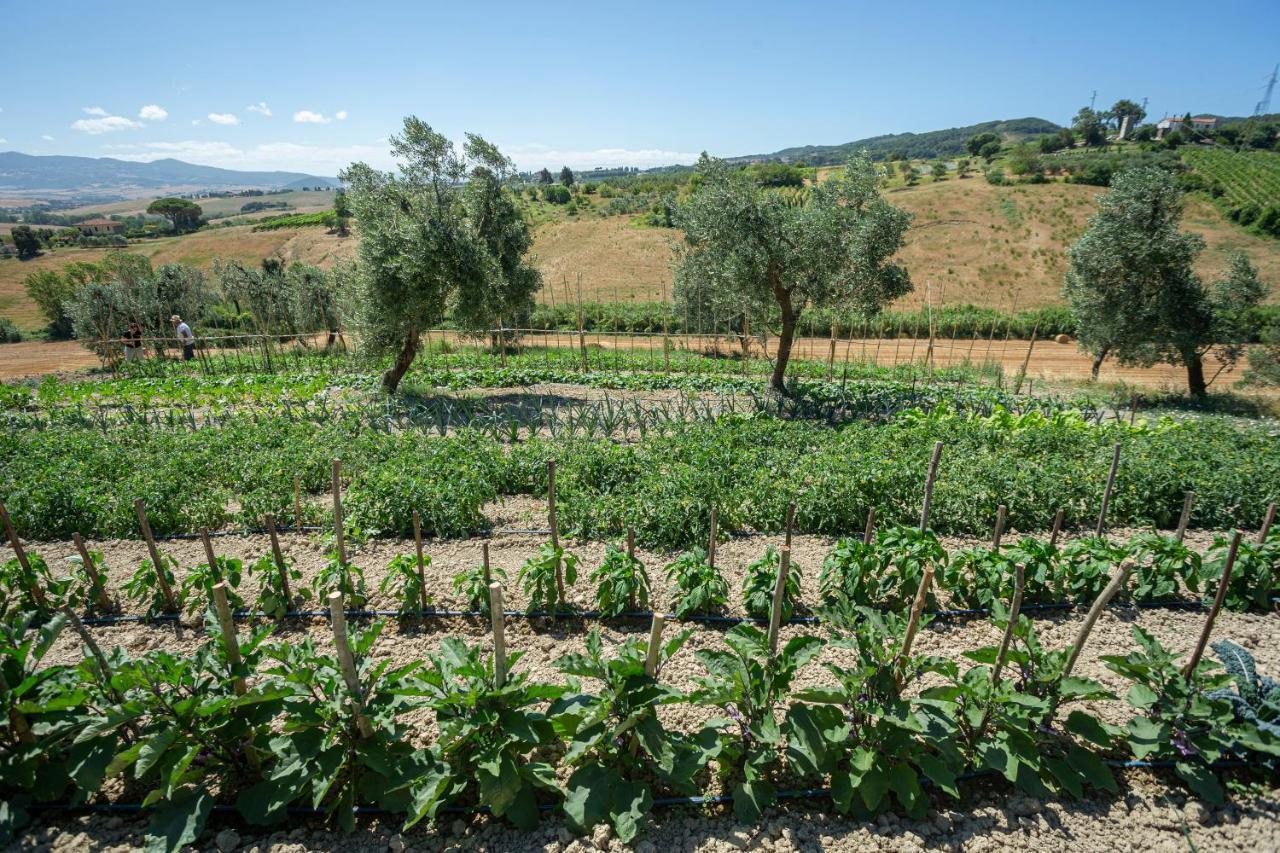 Agriturismo Cappellese Castelnuovo della Misericordia エクステリア 写真