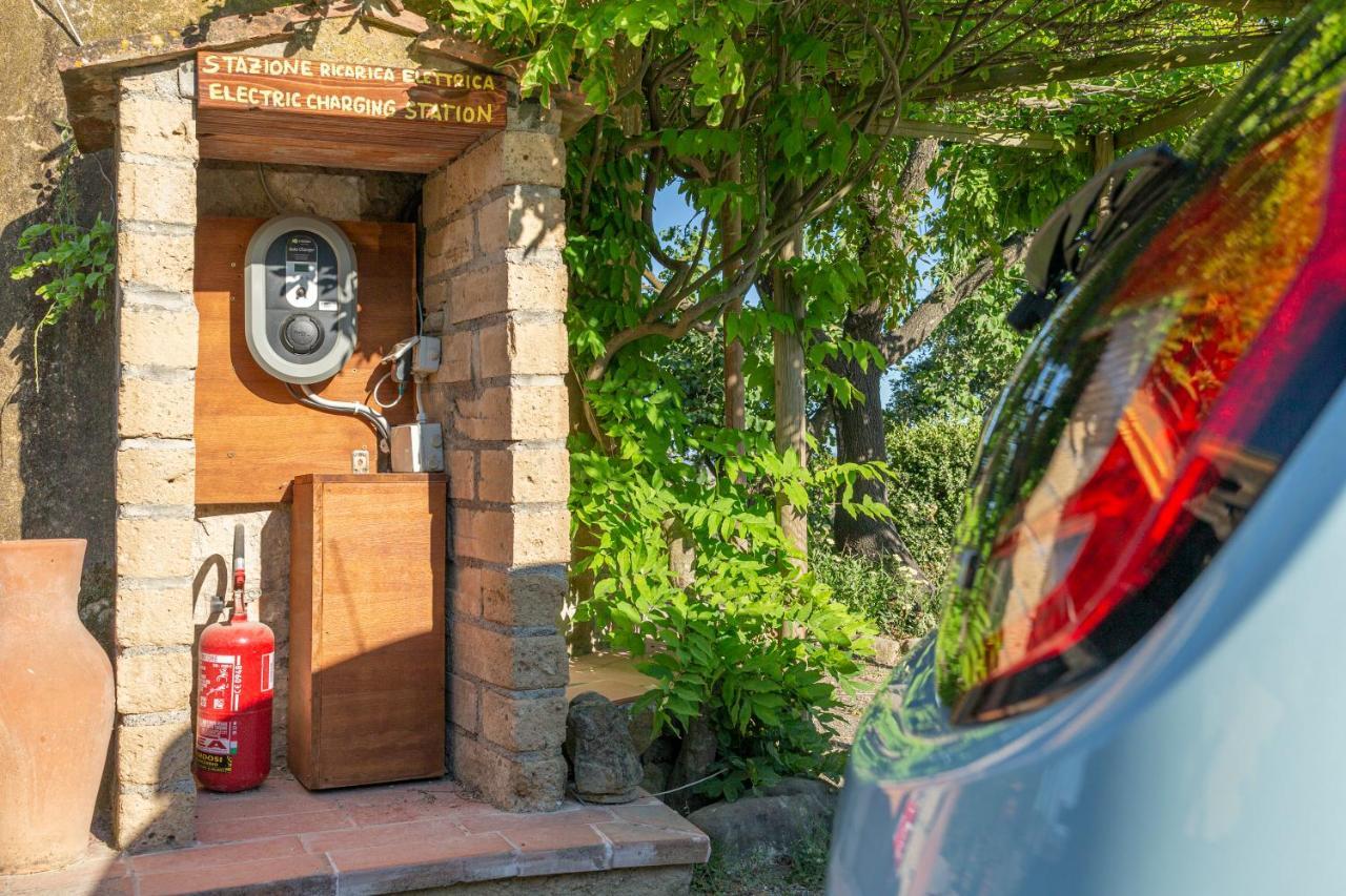 Agriturismo Cappellese Castelnuovo della Misericordia エクステリア 写真