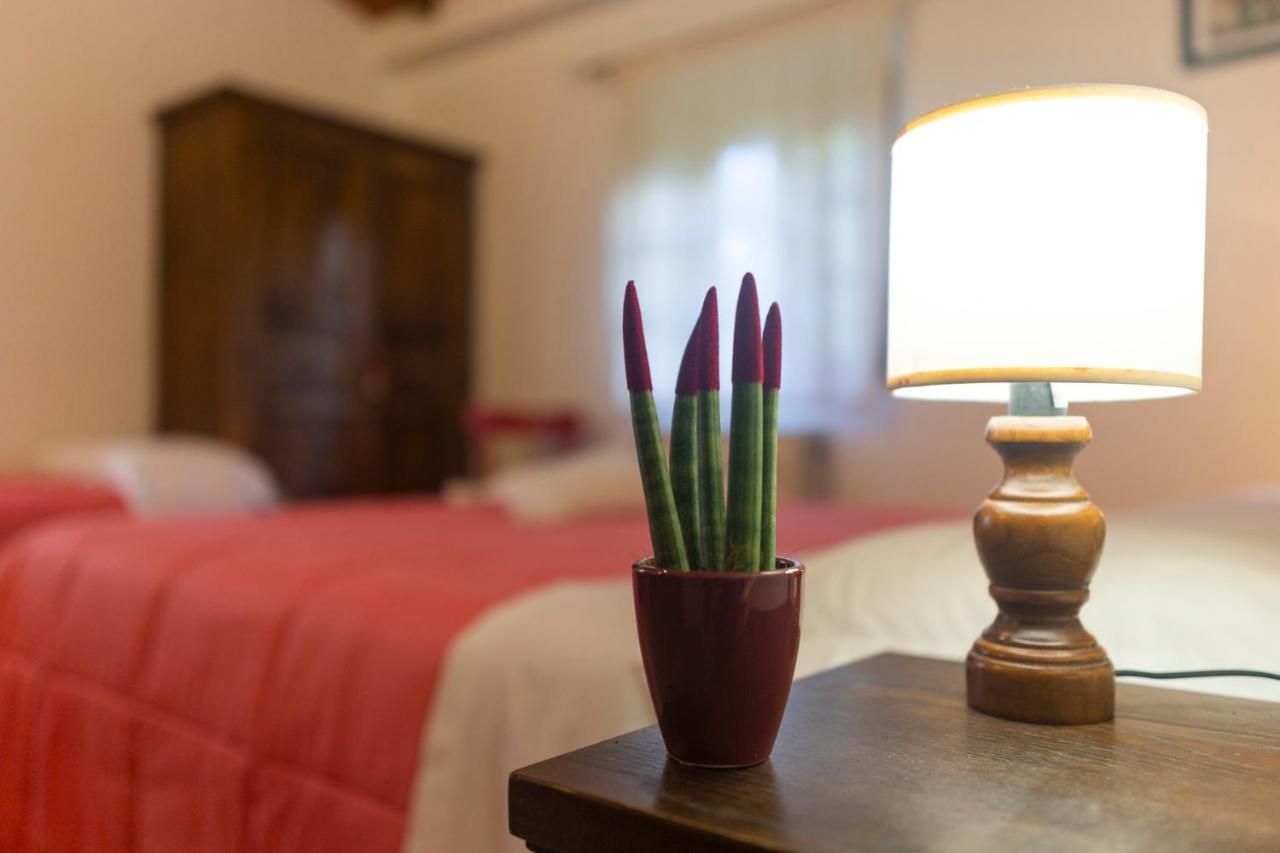 Agriturismo Cappellese Castelnuovo della Misericordia エクステリア 写真