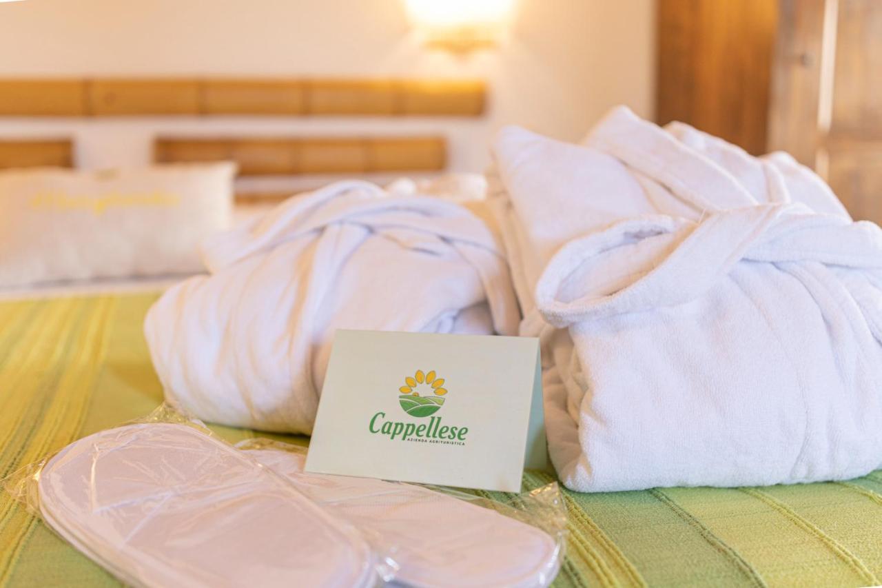 Agriturismo Cappellese Castelnuovo della Misericordia エクステリア 写真