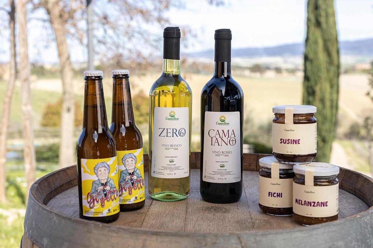 Agriturismo Cappellese Castelnuovo della Misericordia エクステリア 写真