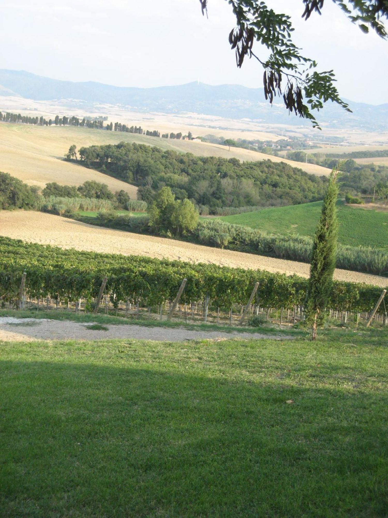 Agriturismo Cappellese Castelnuovo della Misericordia エクステリア 写真